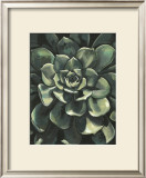 Lunar Succulent I Print by Megan Meagher