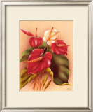 Red and White Anthuriums Posters by Frank Oda