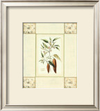 Cayenne Pepper with Mosaic Posters by Deborah Bookman