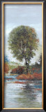 Country Maple Posters by Diann Haist
