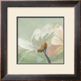 Paquerette II Prints by Chantal Parise