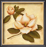 Gold Magnolia I Posters by Daphne 