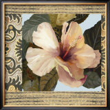 Hibiscus II Prints by Di Grazzia 