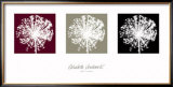 Alho Posters por Elisabeth Verdonck