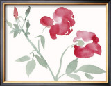 Rosas Pôsters por Aurore De La Morinerie