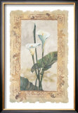 Calla Lily Prints by George Caso