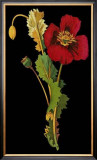 Exotic Beauty IV Poster by Jaggu Prasad