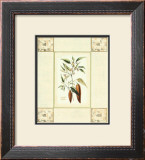 Cayenne Pepper with Mosaic Poster by Deborah Bookman