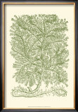 Mossy Branches IV Posters by Henri Du Monceau