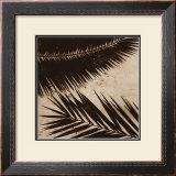 Palmy I Prints by J.b. Hall