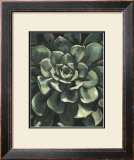 Lunar Succulent I Posters by Megan Meagher