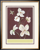 Clematis II Posters by Anne Gerarts
