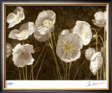 Baroque Poppies Limited Edition Framed Print by Ives Mccoll