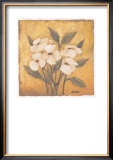 Elegant II Posters by Andre 