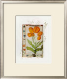 Botanics of 17th Century I Posters by Flori Florilegium