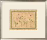 Antique Floral Prints by Rebecca Carter