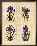 Antique Lavender I Posters by Richard Henson