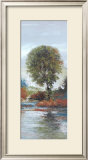 Country Maple Prints by Diann Haist