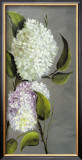 Hortensia Ideal II Art by Ximena 