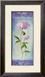 Peony Mist I Posters by Don Tyler