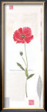 Cotton Poppy Print by Catherine Denolly