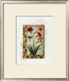 Botanics of 17th Century II Prints by Flori Florilegium