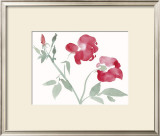 Roses Prints by Aurore De La Morinerie