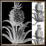 Pop Pineapple II Posters