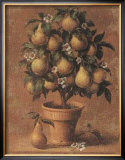 Pear Tree Prints by Joaquin Moragues