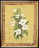 Oriental Art VIII Poster by Hu Chen