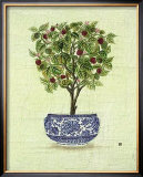 Red Berry Topiary Prints by Iksel 