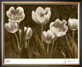 Baroque Tulips Limited Edition Framed Print by Ives Mccoll