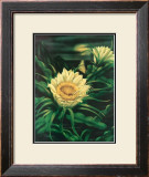 Blooming Cereus with Full Moon Poster by Ted Mundorff