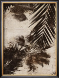 Palms I Prints by J.b. Hall