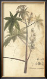 Botanica II Pôsters por Ludwig Van Houtte