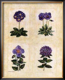 Antique Lavender II Art by Richard Henson
