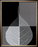 Crystalline Form I Prints by Haya Gil