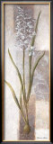 Freesia Prints by Vivien White