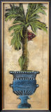 Potted Palm III Prints by Martin Quen