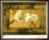 Bamboo and Orchids I Limited Edition Framed Print by Ives Mccoll