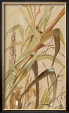 Oriental Junco VI Posters by Paz 