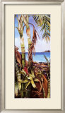 Palms and Bromeliads Posters by Deborah Thompson