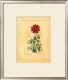 Counterpointe III Print by Michael King