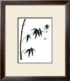 Bamboo II Prints by Jenny Tsang