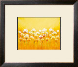 Wild White Poppies Posters by Emily Light