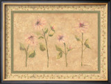 Antique Floral Posters by Rebecca Carter