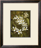 Clematis Posters by Fasani 