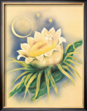 Night Blooming Cereus Framed Giclee Print by Ted Mundorff