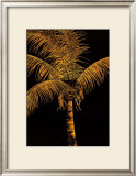 Palm Oro Prints by Robert Charles Dunahay