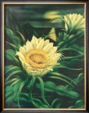 Blooming Cereus with Full Moon Framed Giclee Print by Ted Mundorff